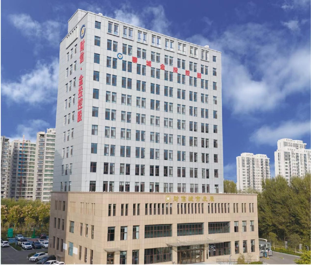 聊城金投控股有限公司